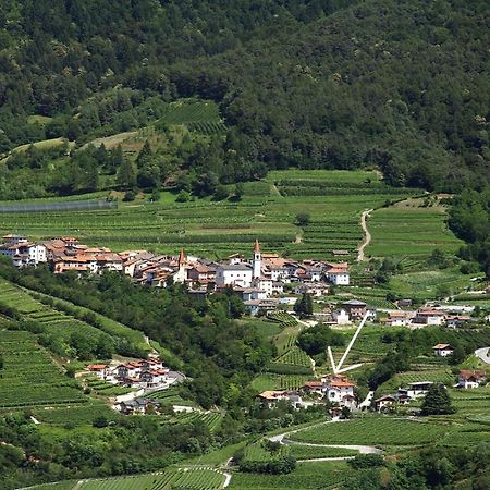 B&B Casa Zeni Faedo Εξωτερικό φωτογραφία