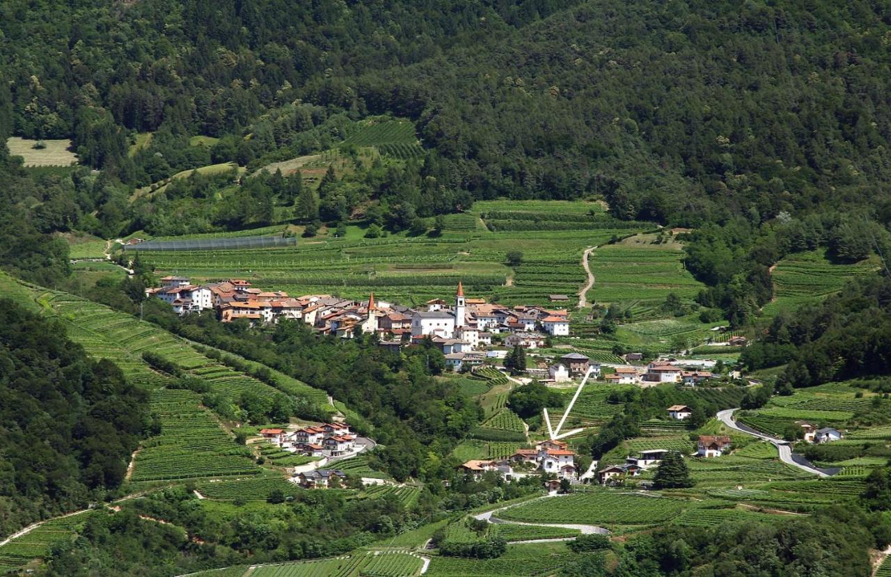 B&B Casa Zeni Faedo Εξωτερικό φωτογραφία
